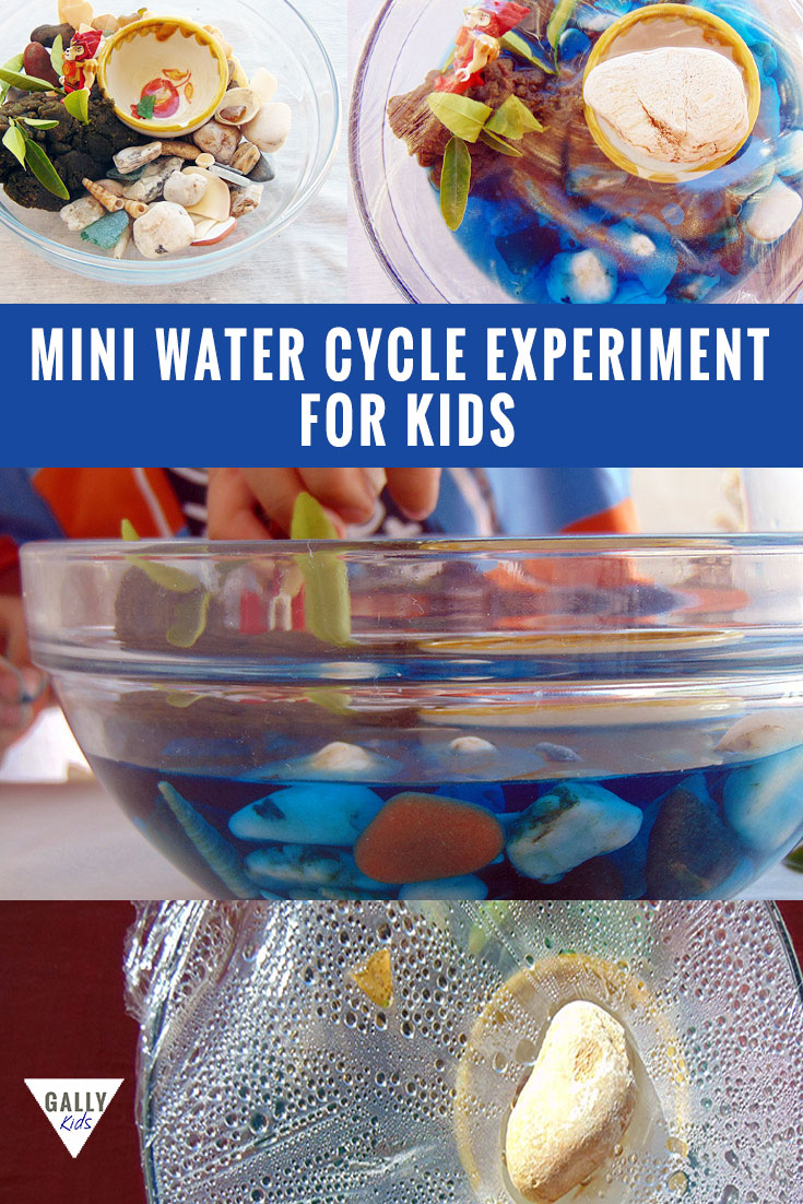 A water cycle experiment that you can easily recreate at home. If you have water and a bowl, you're good to go. Fun for the kids and makes it easy for them to visualize the water cycle. Step by step instructions plus video and PDF download @gallykids