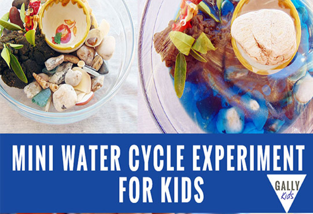 Mini water cycle experiment using a bowl. An easy activity for preschoolers. @gallykids
