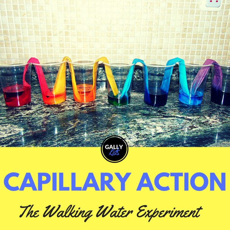 Capillary Action Experiment Paper Towel Version The Case Of The